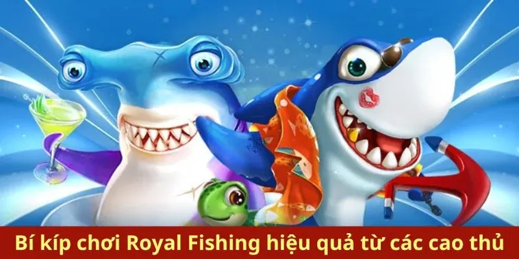 Mẹo Chơi Bắn Cá Royal Fishing Tại 69VN Trở Thành Vua Săn Cá