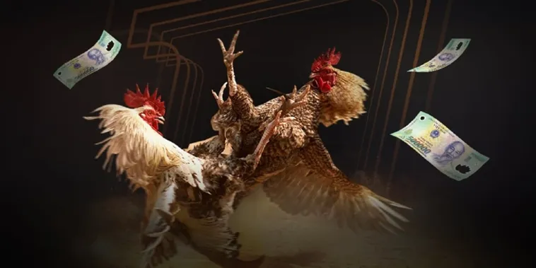 Khám Phá Thế Giới Đá Gà 69VN Đỉnh Cao Với Hàng Trăm Trận Đấu